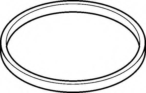 Прокладка, корпус впускного колектора ELRING 655.850