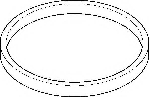 Прокладка, корпус впускного колектора ELRING 895.580