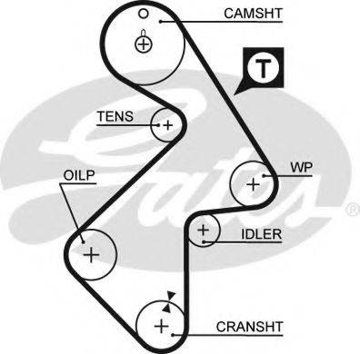 Ремінь ГРМ GATES 5202XS