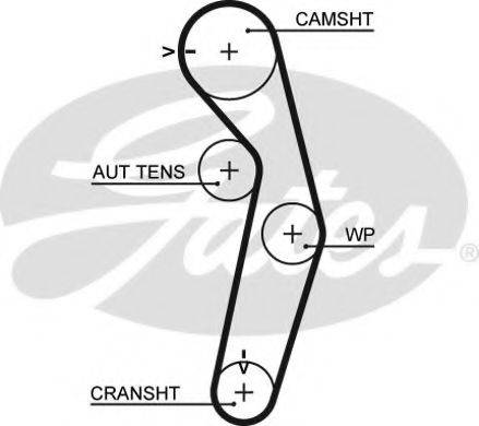 Ремінь ГРМ GATES 5441XS