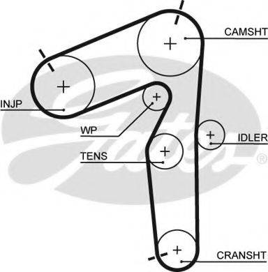 Ремінь ГРМ GATES 5462XS