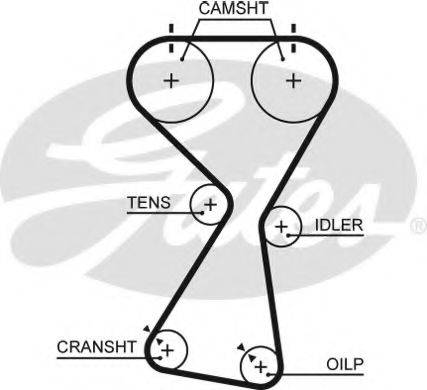 Ремінь ГРМ GATES 5534XS